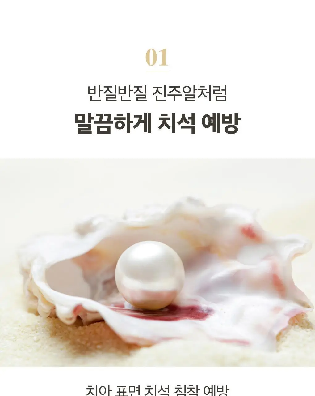 [치석케어] 루치펠로 화이트펄오션 치약 100g 기획(+25G 증정) 상세페이지 3